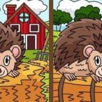 Súper test de inteligencia: encuentra 3 diferencias en fotos de