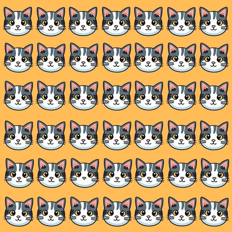 Esta ilusión óptica sólo es posible para personas con un coeficiente intelect grandioso / Imagen de Moje