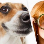 Sólo un verdadero titán del coeficiente intelect verá un perro en la nieve en 10 segundos: una impresionante ilusión óptica Sólo un verdadero titán del coeficiente intelect verá un perro